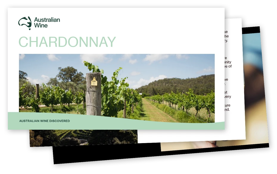 a photo of a vineyard