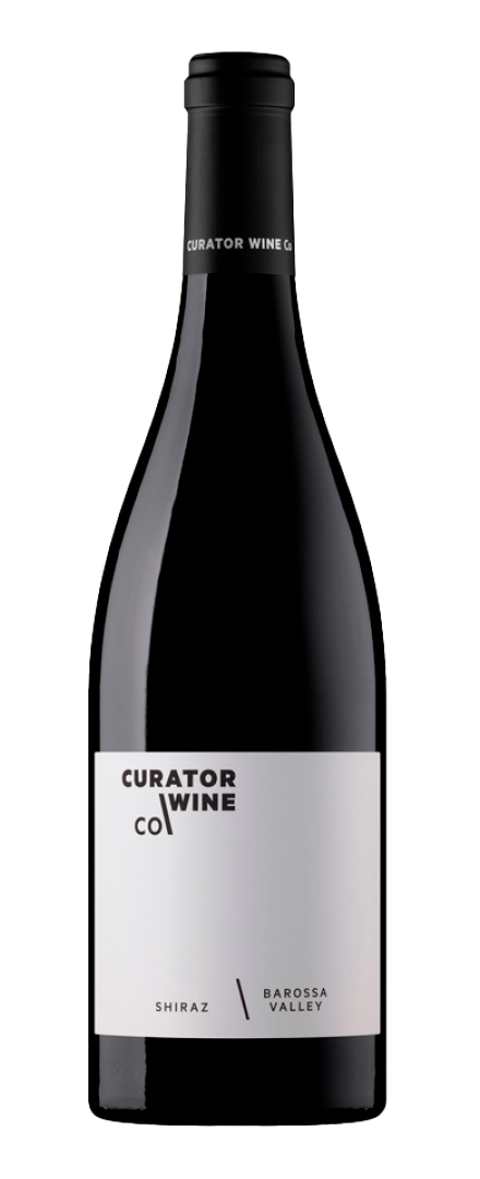 Shiraz   2024