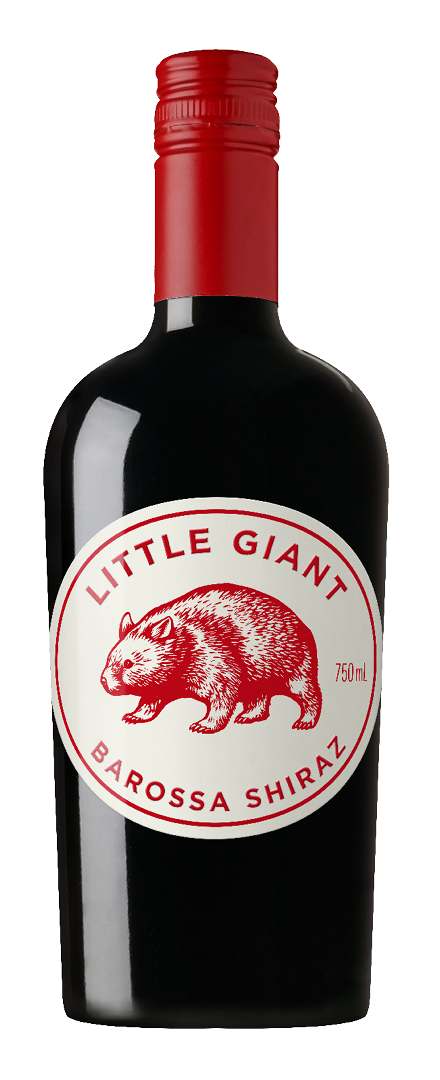Shiraz   2021