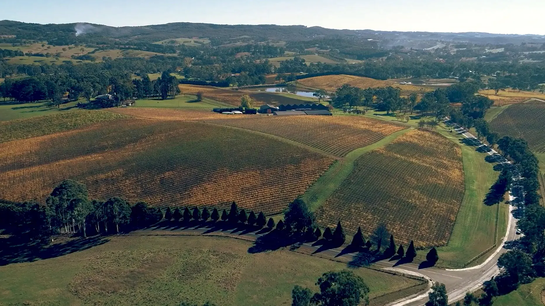 a aerial view of a farm