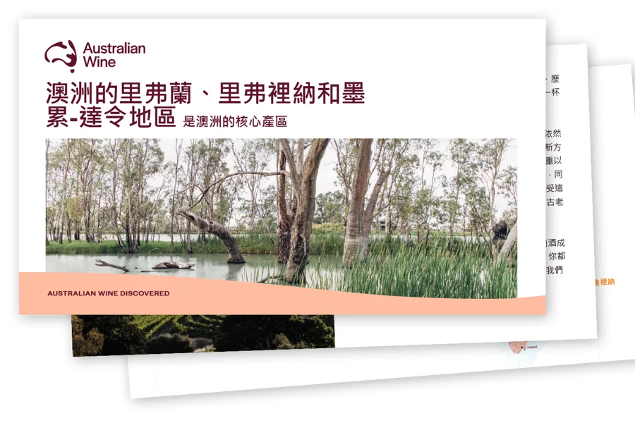 a screenshot of a website