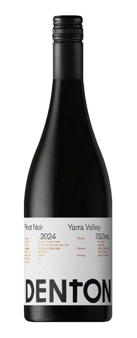 Estate Pinot Noir   2024