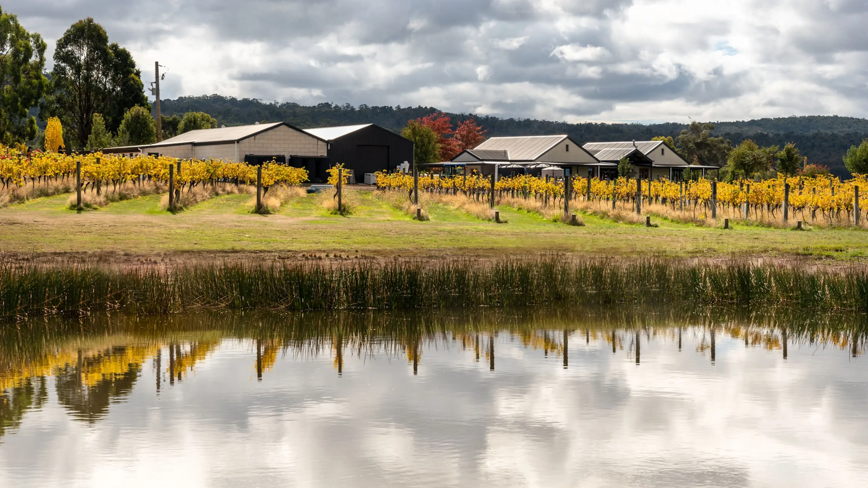 Lyons Will Estate
