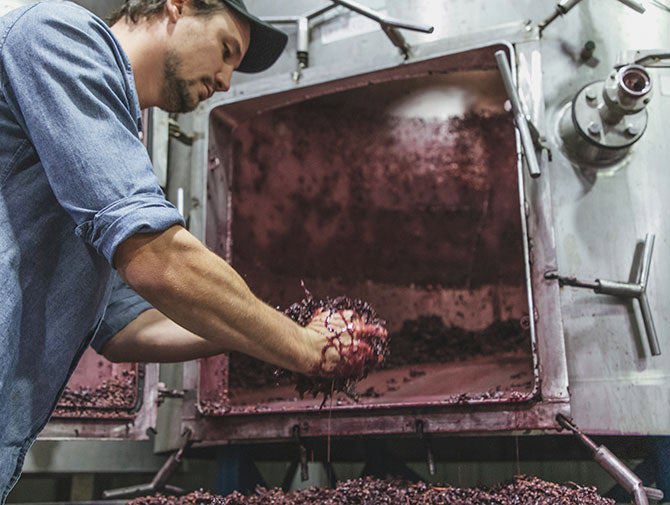 Duncan Lloyd pressing grapes