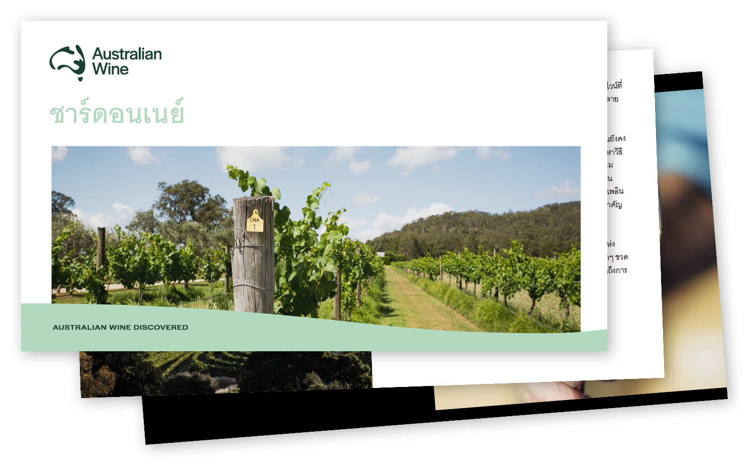 a wooden post in a vineyard
