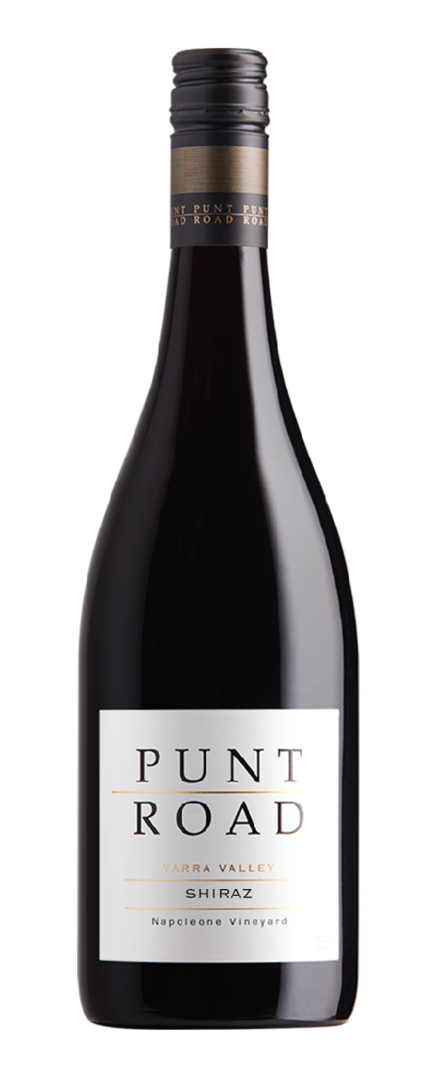Shiraz   2024