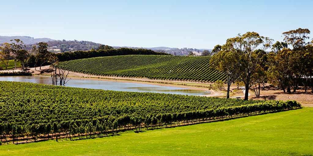 Adelaide Hills: Alive with contemporary cool