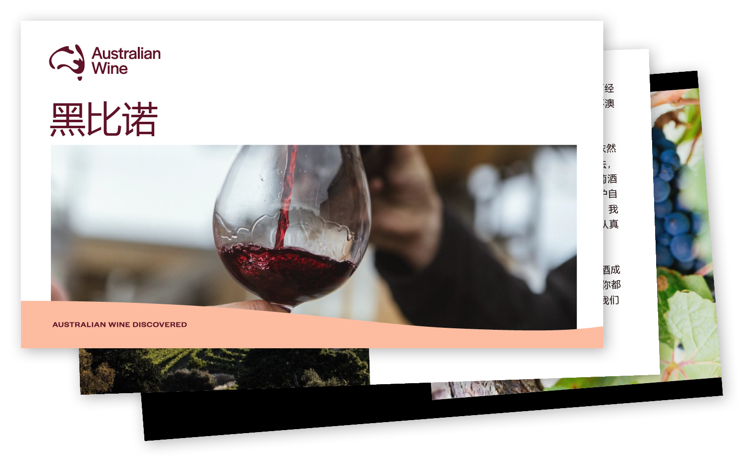 a person pouring wine into a glass