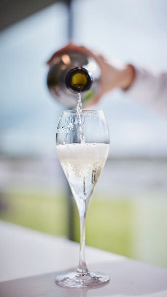 Sparkling wine poured into glass