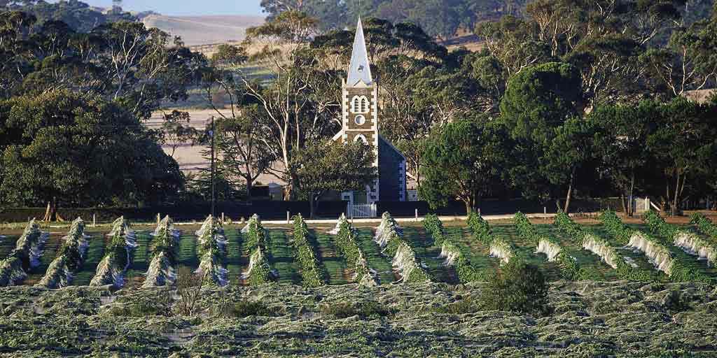 Eden Valley: Wander through wine paradise