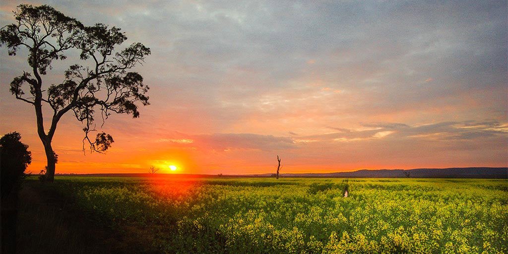 Gippsland 