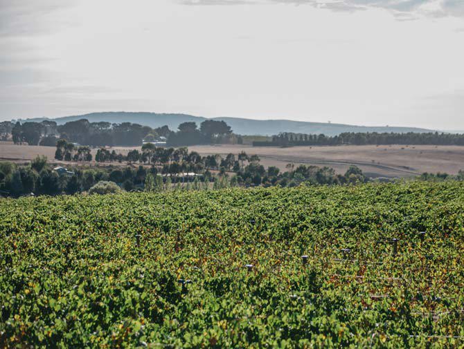 Macedon Ranges