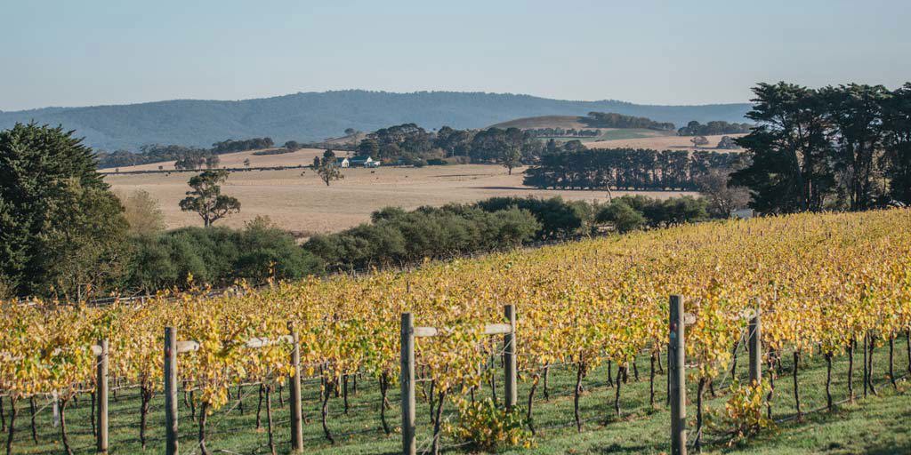 Macedon Ranges