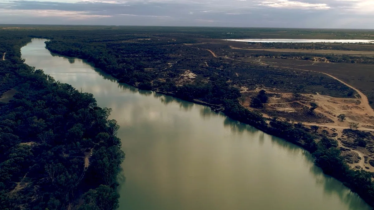 a river with trees and a road