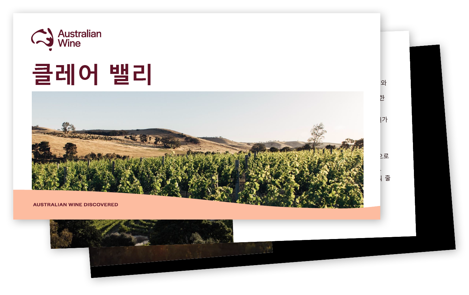 a screenshot of a photo of a vineyard