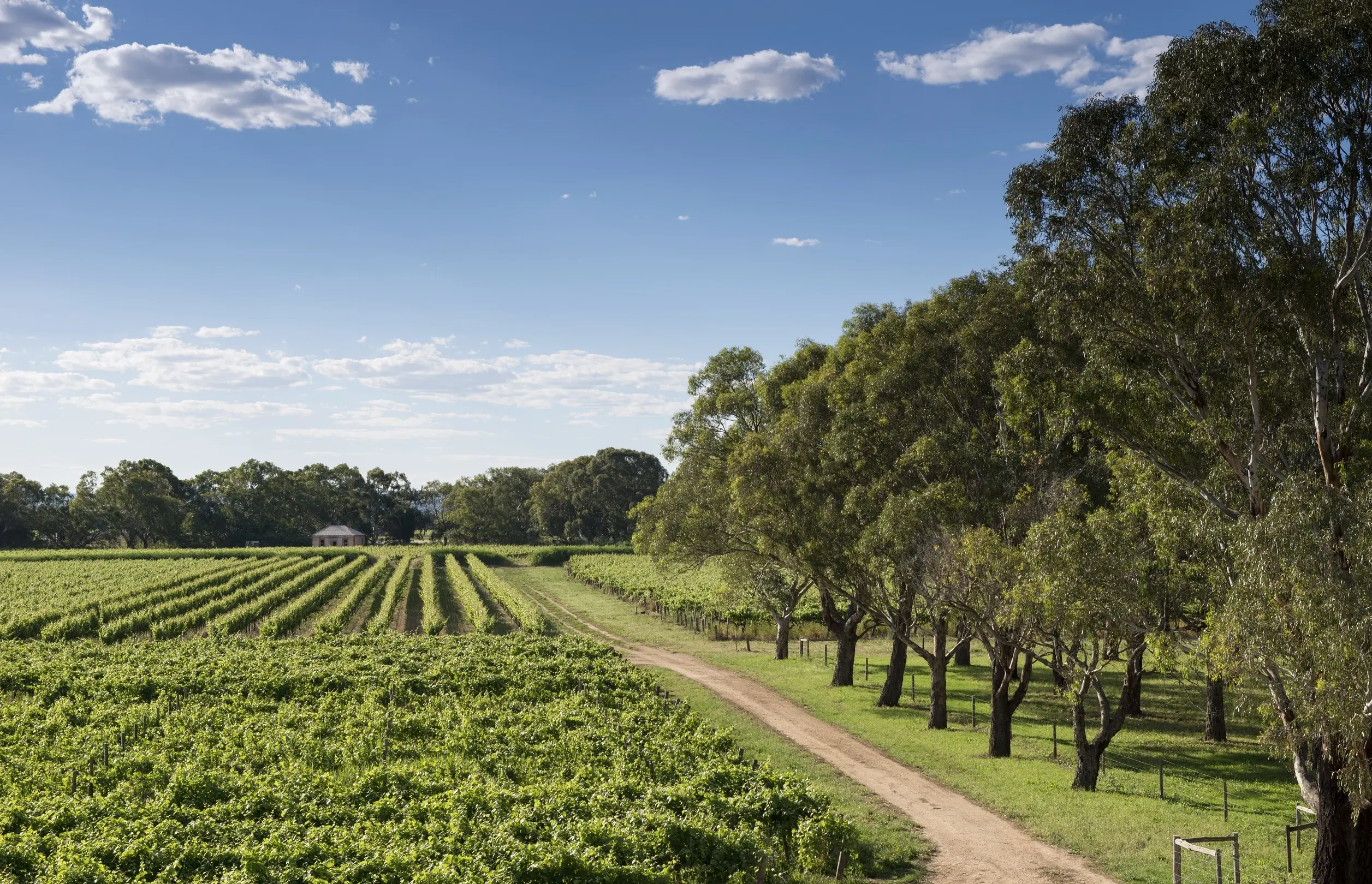 Bleasdale Vineyards