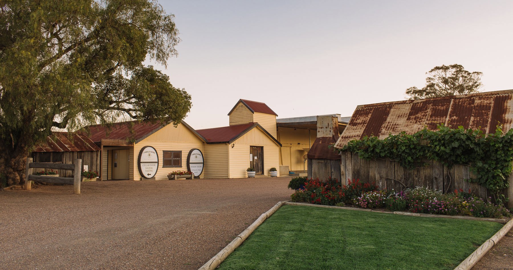 Tyrrell’s Wines
