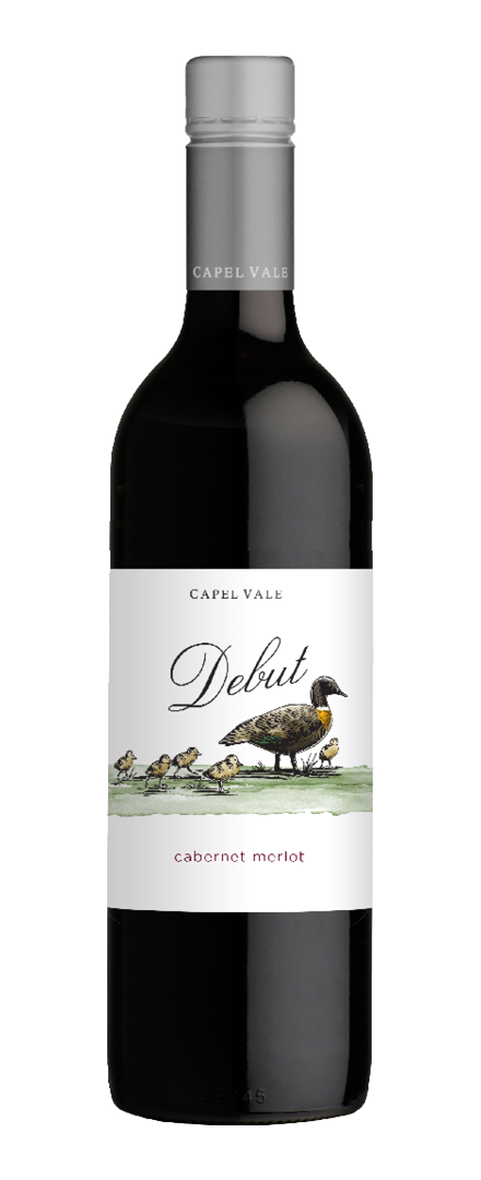 Debut Cabernet Merlot  2019