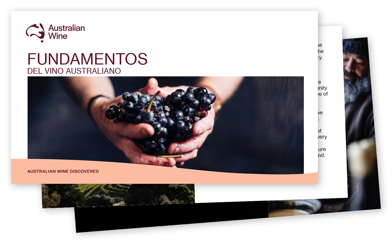 AWD Foundations Presentation Spanish