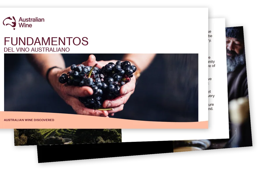 AWD Foundations Presentation Spanish