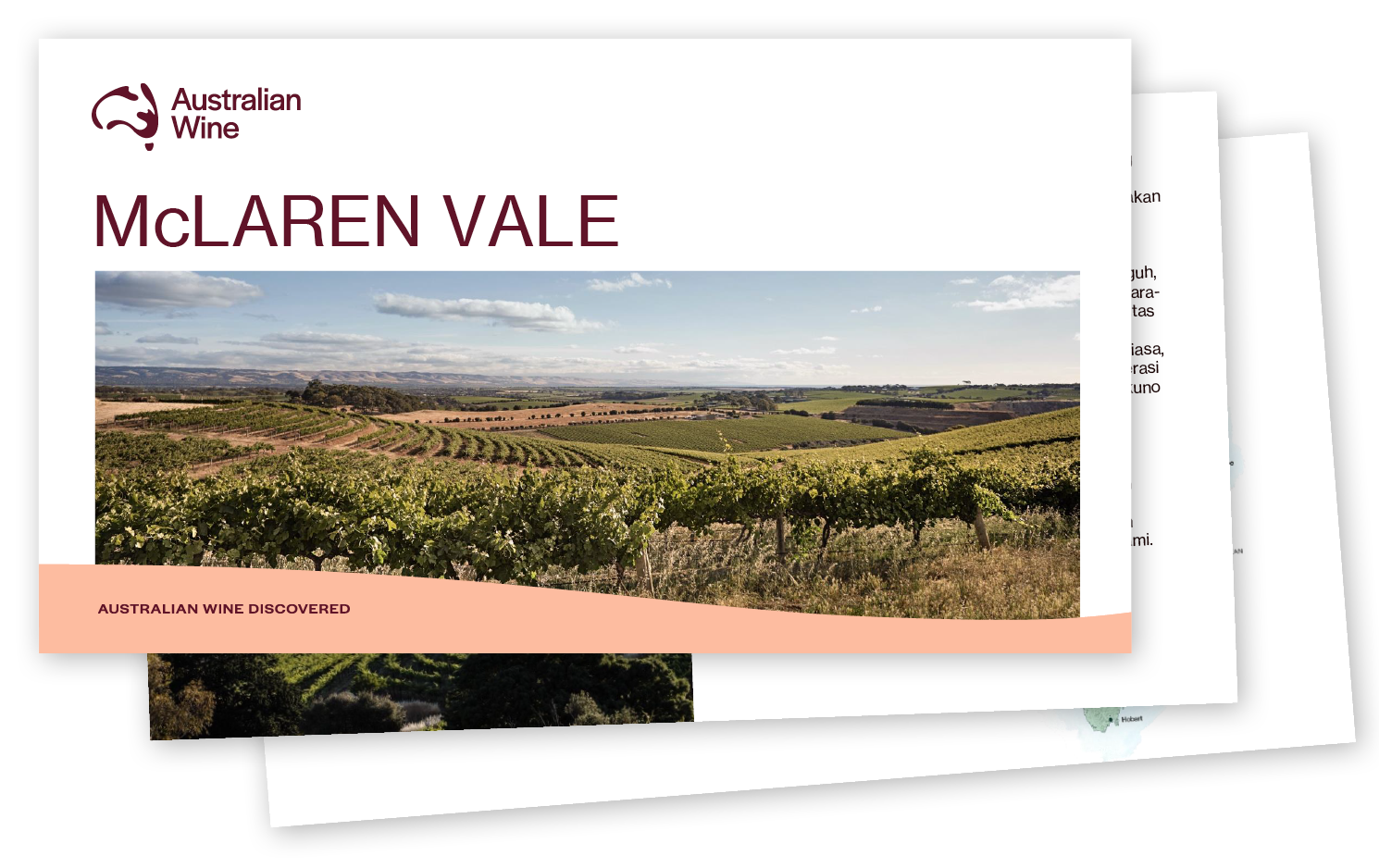 a landscape of a vineyard