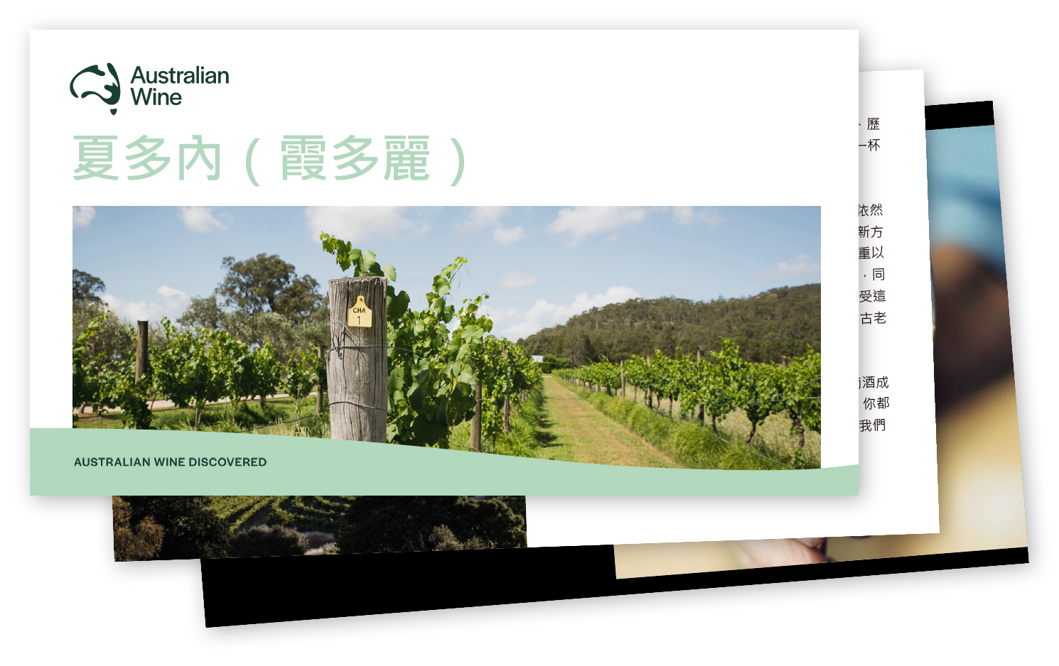 a screenshot of a photo of a vineyard