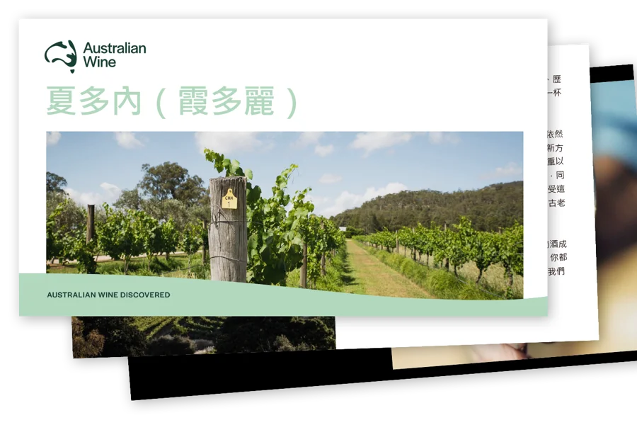 a screenshot of a photo of a vineyard