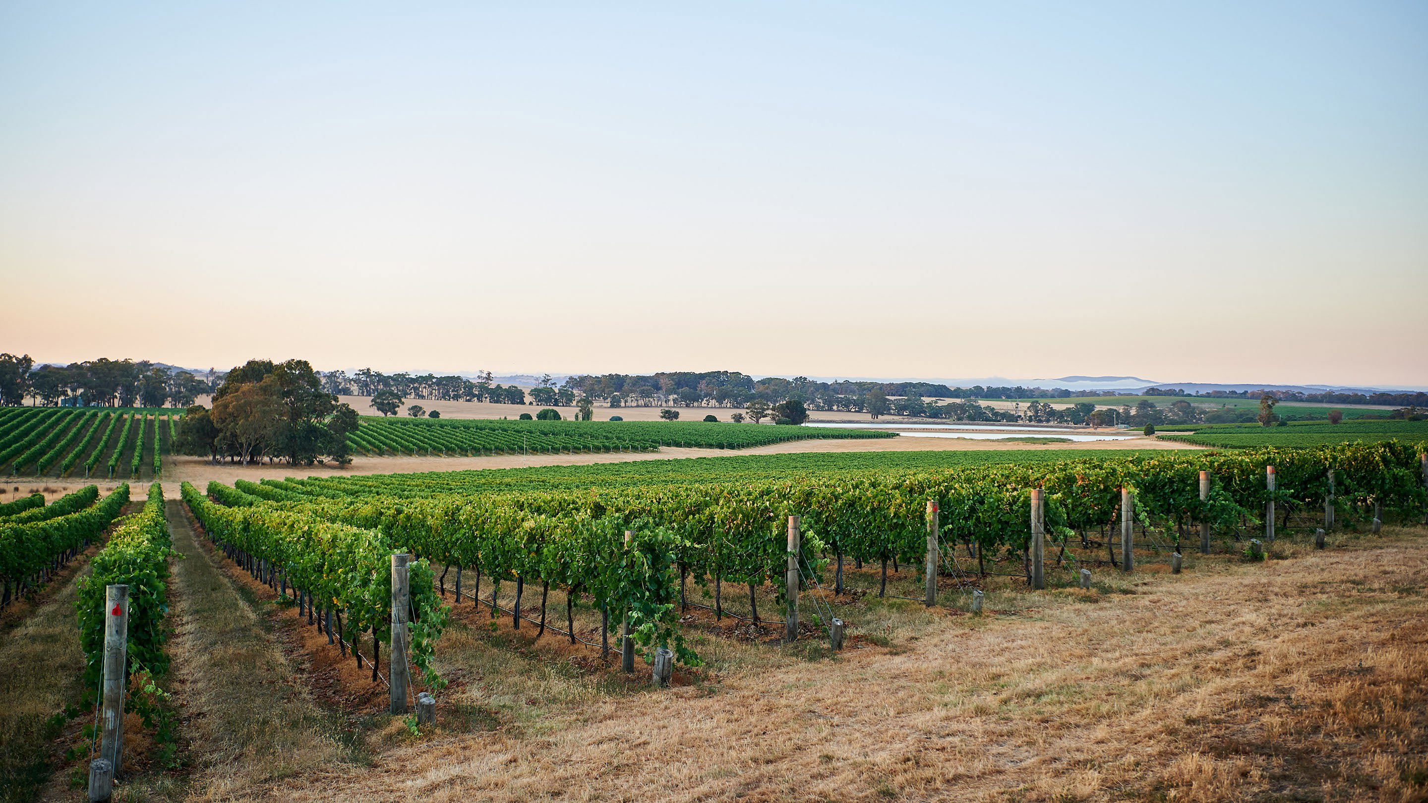 Fowles Wine