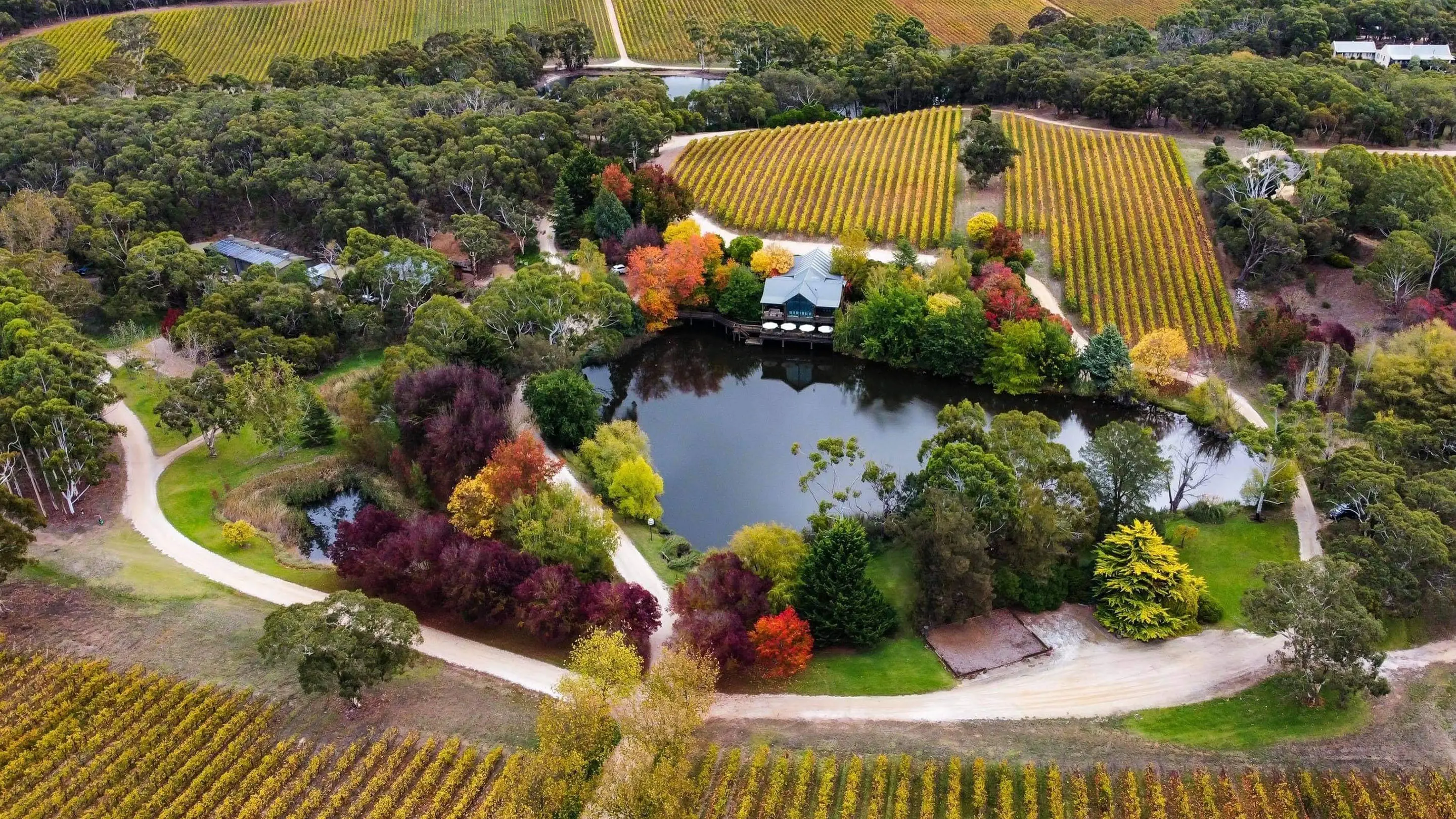 Wines by Geoff Hardy